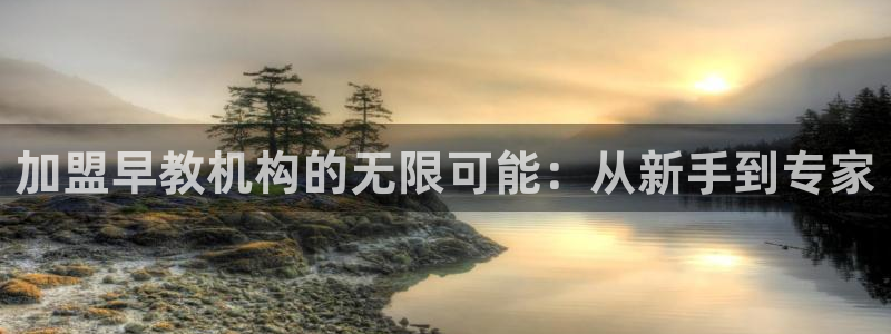 威九国际在哪里：加盟早教机构的无限可能：从新手到专家