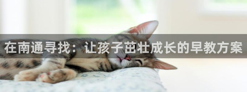 威九国际mm：在南通寻找：让孩子茁壮成长的早教方案