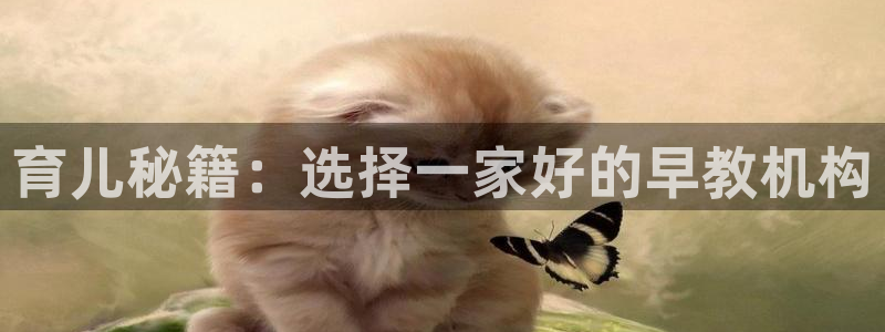 威九国际ppt免费吗