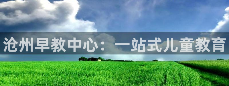 78mapp威九国际官网版：沧州早教中心：一站式儿童教育