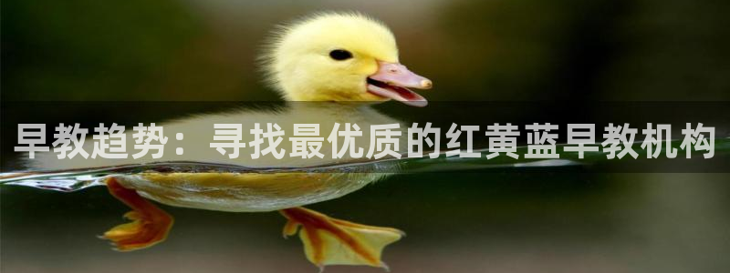 威九国际客服电话号码是多少：早教趋势：寻找最优质的红黄蓝早教机构