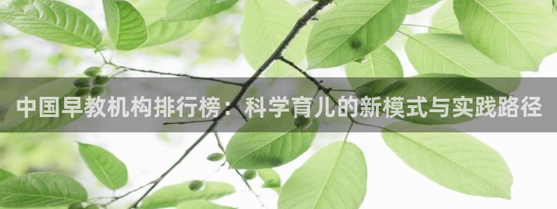 78mppt威九国际：中国早教机构排行榜：科学育儿的新模式与实践路径
