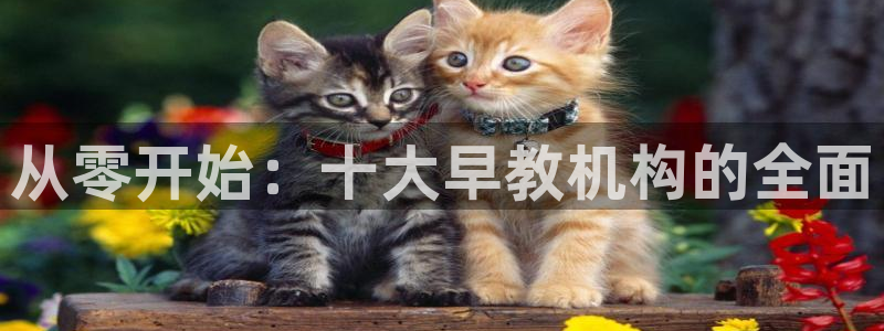 威九国际女星：从零开始：十大早教机构的全面