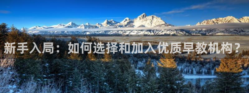 威九国际v18：新手入局：如何选择和加入优质早教机构？