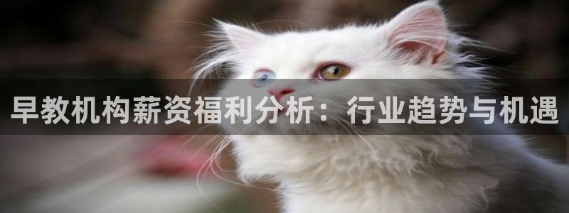 威九国际66m入口：早教机构薪资福利分析：行业趋势与机遇