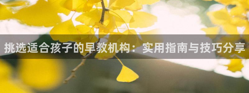 威九国际APP大全：挑选适合孩子的早教机构：实用指南与技巧分享