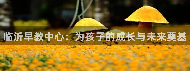 威九国际网站更新了吗：临沂早教中心：为孩子的成长与未来奠基