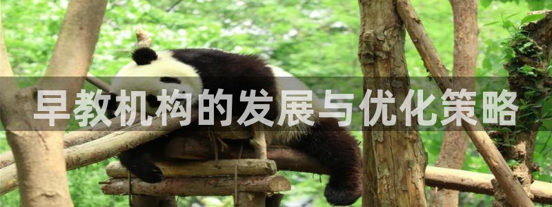 威九国际H：早教机构的发展与优化策略