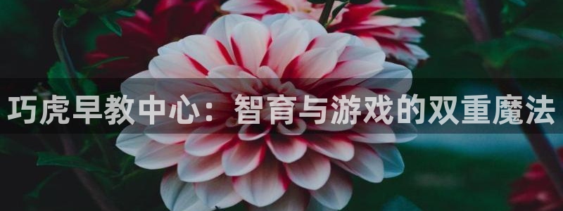 威九国际电视怎么样：巧虎早教中心：智育与游戏的双重魔法
