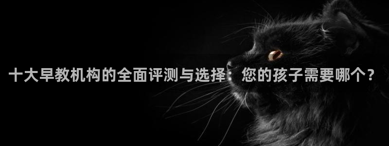 威九国际电视怎么样：十大早教机构的全面评测与选择：您的孩子需要哪个？