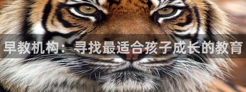 威九国际网站入口官网首页：早教机构：寻找最适合孩子成长的教育