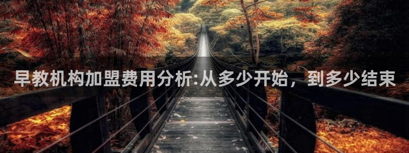 威九国际网站怎么样：早教机构加盟费用分析:从多少开始，到多少结束