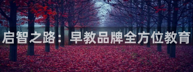 威九国际特殊奖励：启智之路：早教品牌全方位教育