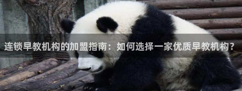 威九国际网站客服电话多少啊:连锁早教机构的加盟指南:如何选择一家优质早教机构?