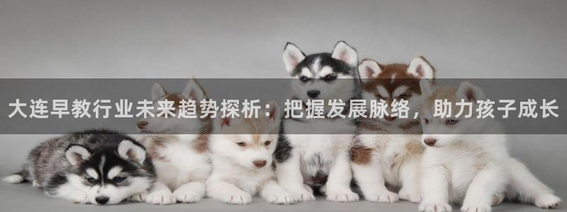 威九国际能提现吗现在：大连早教行业未来趋势探析：把握发展脉络，助力孩子成长