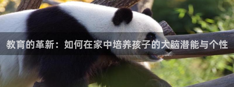 威九国际66：教育的革新：如何在家中培养孩子的大脑潜能与个性