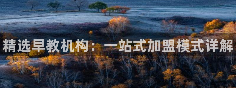 78mapp威九国际人民网：精选早教机构：一站式加盟模式详解