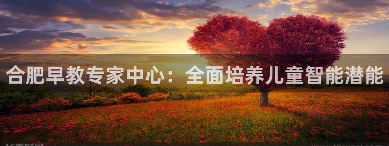 威九国际清砖码头在哪：合肥早教专家中心：全面培养儿童智能潜能