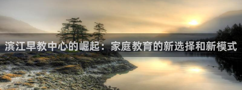 威九国际78mb游戏：滨江早教中心的崛起：家庭教育的新选择和新模式