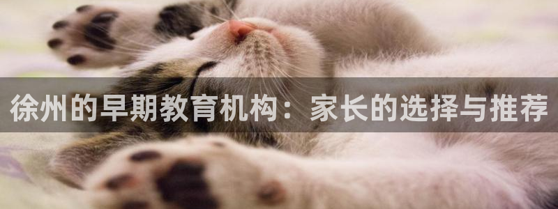 78mapp威九国际官网：徐州的早期教育机构：家长的选择与推荐