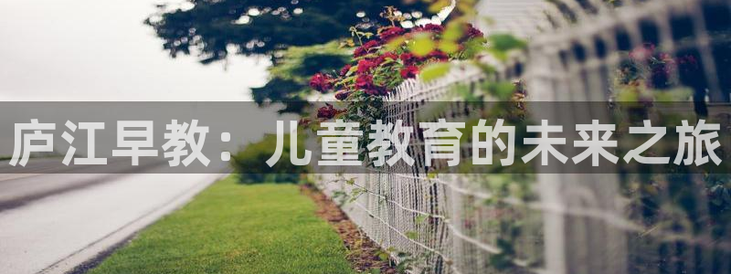威九国际电影2022年9月月：庐江早教：儿童教育的未来之旅
