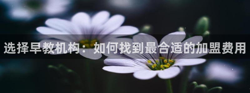 威九国际可以赚到钱：选择早教机构：如何找到最合适的加盟费用