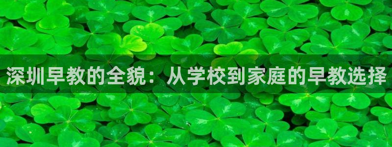 威九国际免费：深圳早教的全貌：从学校到家庭的早教选择