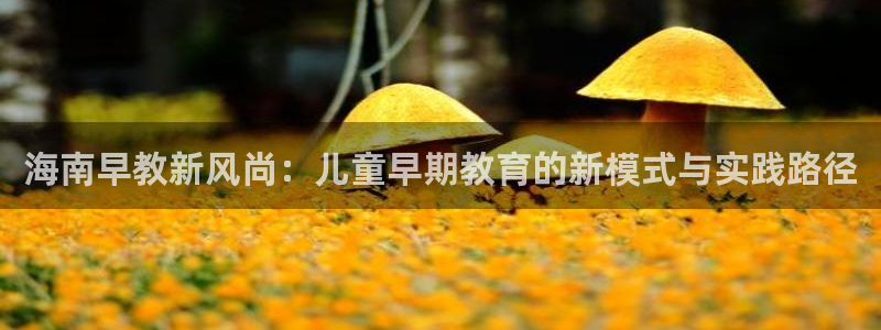 威九国际66cm：海南早教新风尚：儿童早期教育的新模式与实践路径
