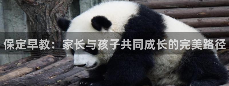 威九国际网站链接：保定早教：家长与孩子共同成长的完美路径