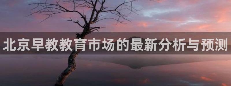 威九国际国精彩片段：北京早教教育市场的最新分析与预测