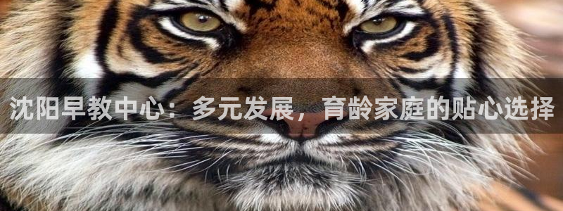 威九国际可以提现吗现在：沈阳早教中心：多元发展，育龄家庭的贴心选择