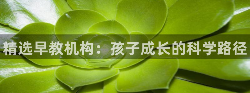 威九国际精彩推荐怎么样：精选早教机构：孩子成长的科学路径