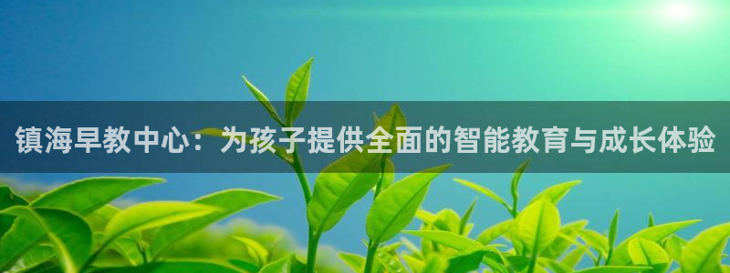 威九国际网站入口官网首页登录：镇海早教中心：为孩子提供全面的智能教育与成长体验