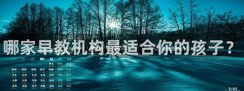 威九国际地址：哪家早教机构最适合你的孩子？