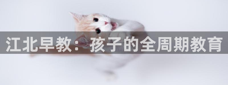 威九国际66cm：江北早教：孩子的全周期教育