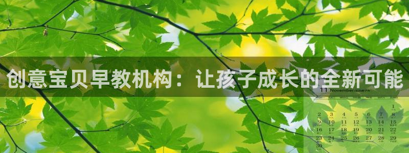 78mapp威九国际成长视频：创意宝贝早教机构：让孩子成长的全新可能