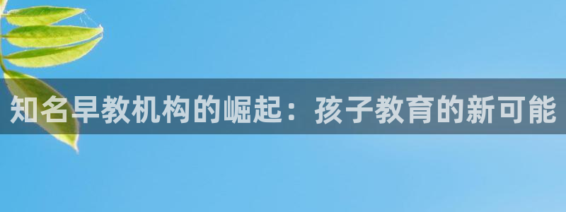威九国际66m66成长模式：知名早教机构的崛起：孩子教育的新可能
