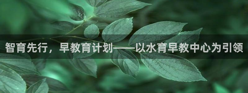 威九国际网站入口官网免费：智育先行，早教育计划——以水育早教中心为引领