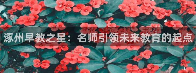 威九国际的女主：涿州早教之星：名师引领未来教育的起点