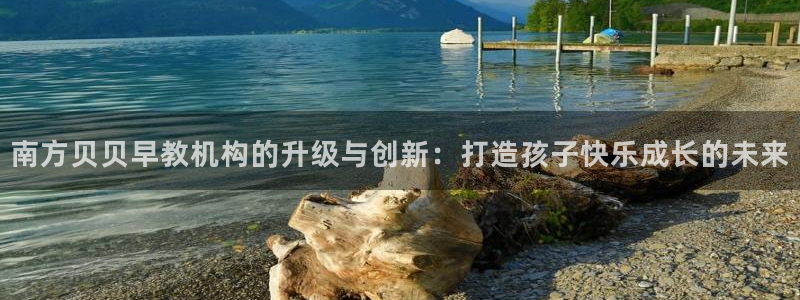 威九国际服：南方贝贝早教机构的升级与创新：打造孩子快乐成长的未来
