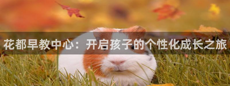 威九国际8ⅹ8x：花都早教中心：开启孩子的个性化成长之旅