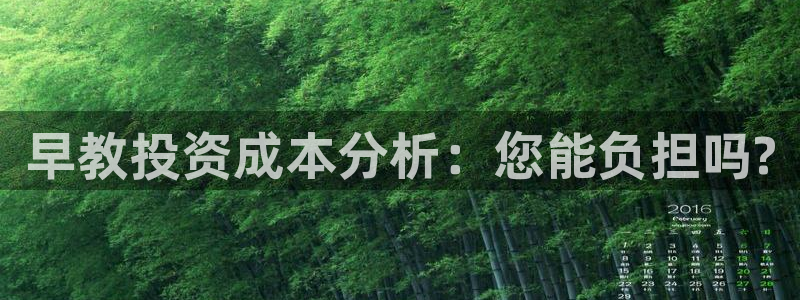 威九国际的女主：早教投资成本分析：您能负担吗?
