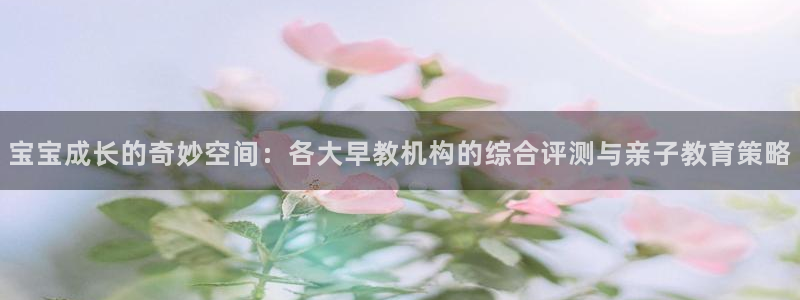 78mppt威九国际：宝宝成长的奇妙空间：各大早教机构的综合评测与亲子教育策略