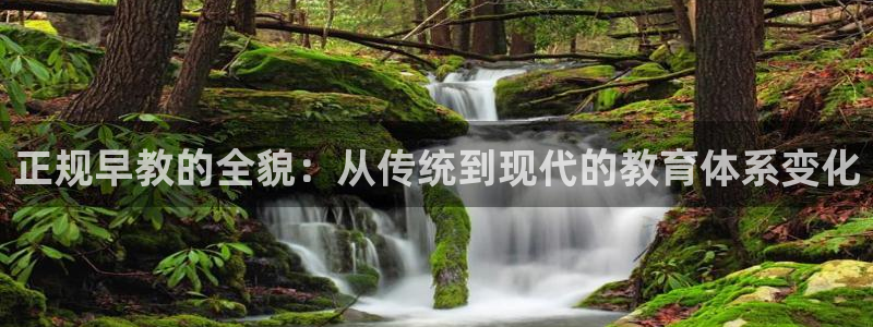 威九国际78mob：正规早教的全貌：从传统到现代的教育体系变化