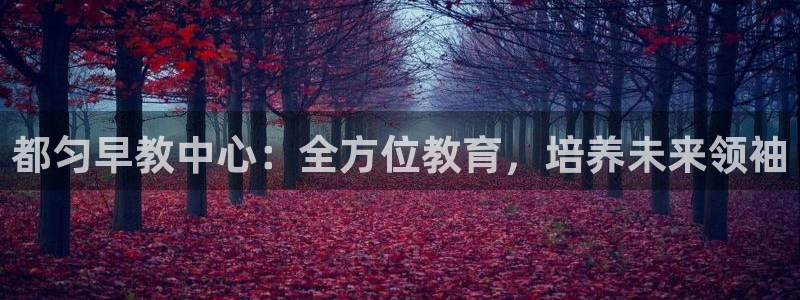 威九国际女艺人：都匀早教中心：全方位教育，培养未来领袖