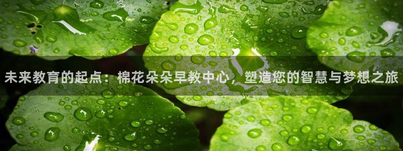 威九国际66：未来教育的起点：棉花朵朵早教中心，塑造您的智慧与梦想之旅