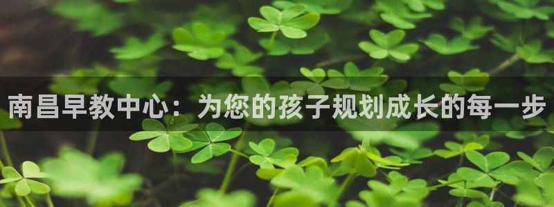 威九国际精：南昌早教中心：为您的孩子规划成长的每一步