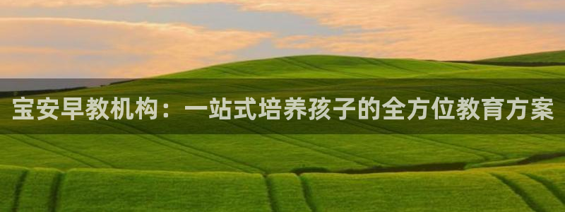 威九国际取款：宝安早教机构：一站式培养孩子的全方位教育方案