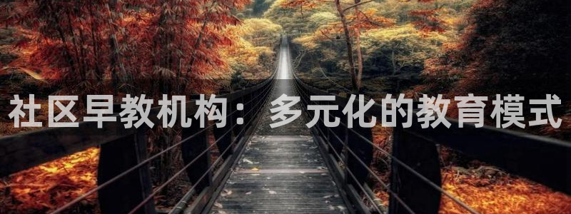 威九国际取款不会被骗吧是真的吗：社区早教机构：多元化的教育模式