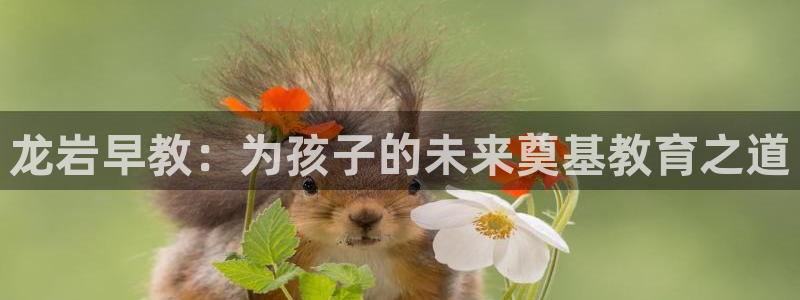 威九国际78mb 视频：龙岩早教：为孩子的未来奠基教育之道